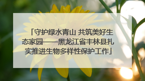 守护绿水青山 共筑美好生态家园——黑龙江省丰林县扎实推进生物多样性保护工作