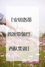 安切洛蒂首次带领巴西队集训