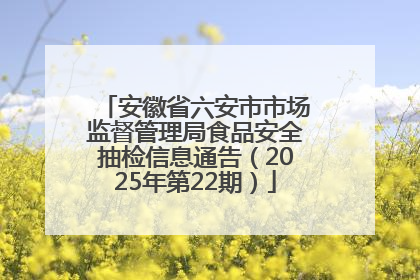 安徽省六安市市场监督管理局食品安全抽检信息通告（2025年第22期）