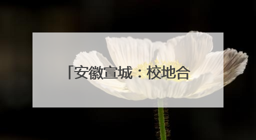 安徽宣城：校地合作 澎湃青春力量