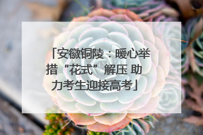 安徽铜陵：暖心举措“花式”解压 助力考生迎接高考