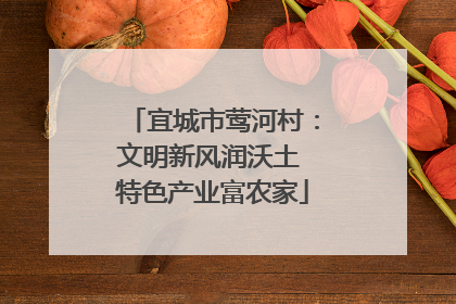 宜城市莺河村：文明新风润沃土 特色产业富农家