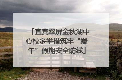 宜宾翠屏金秋湖中心校多举措筑牢“端午”假期安全防线
