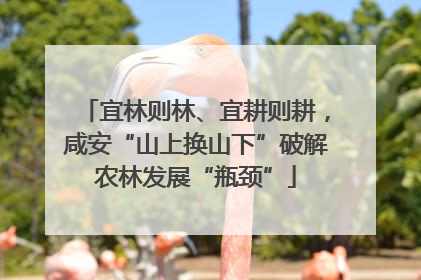 宜林则林、宜耕则耕，咸安“山上换山下”破解农林发展“瓶颈”