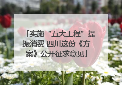 实施“五大工程”提振消费 四川这份《方案》公开征求意见