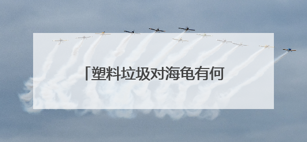 塑料垃圾对海龟有何致命伤害？世界环境日，走进开普敦海洋馆