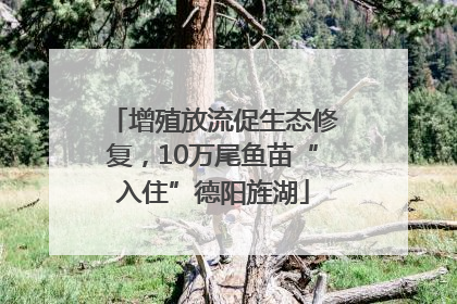 增殖放流促生态修复，10万尾鱼苗“入住”德阳旌湖