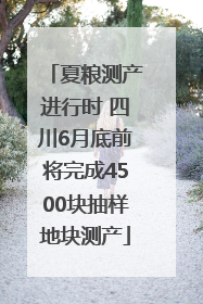 夏粮测产进行时 四川6月底前将完成4500块抽样地块测产