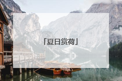 夏日赏荷