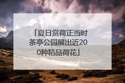 夏日赏荷正当时 茶亭公园展出近200种精品荷花