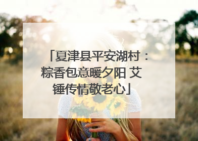 夏津县平安湖村：粽香包意暖夕阳 艾锤传情敬老心
