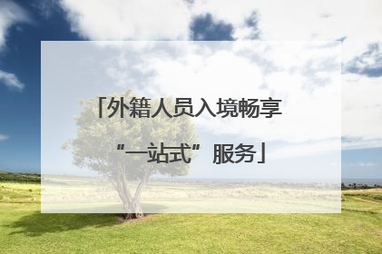 外籍人员入境畅享“一站式”服务