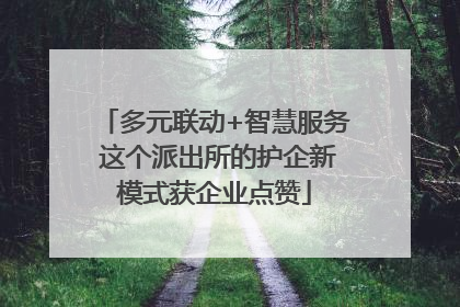 多元联动+智慧服务 这个派出所的护企新模式获企业点赞