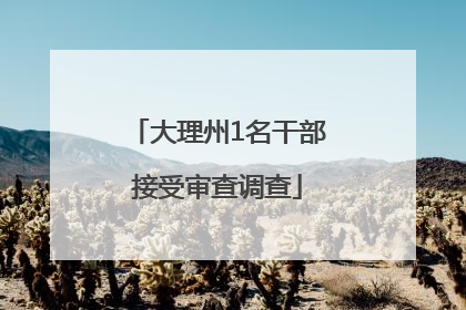 大理州1名干部接受审查调查