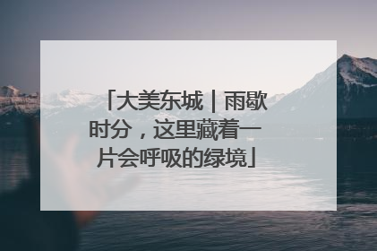 大美东城｜雨歇时分，这里藏着一片会呼吸的绿境