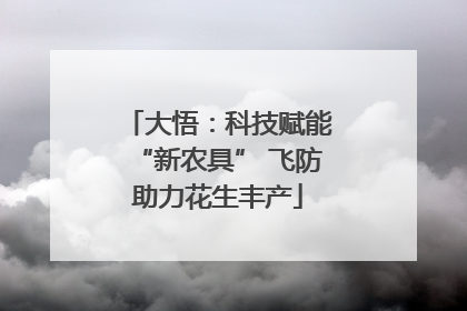 大悟：科技赋能“新农具” 飞防助力花生丰产