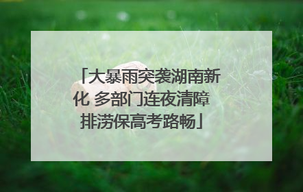 大暴雨突袭湖南新化 多部门连夜清障排涝保高考路畅
