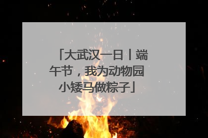 大武汉一日丨端午节，我为动物园小矮马做粽子