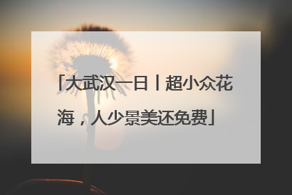 大武汉一日丨超小众花海，人少景美还免费