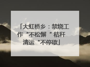 大虹桥乡：禁烧工作“不松懈“ 秸秆清运“不停歇