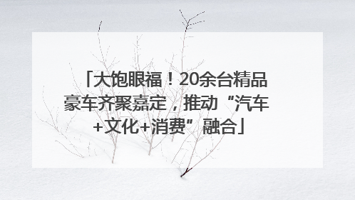 大饱眼福！20余台精品豪车齐聚嘉定，推动“汽车+文化+消费”融合