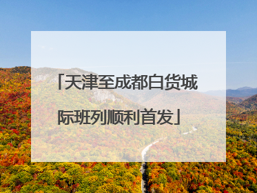 天津至成都白货城际班列顺利首发