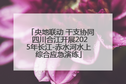 央地联动 干支协同 四川合江开展2025年长江-赤水河水上综合应急演练