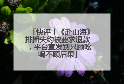 快评丨《赴山海》排播失约被要求退款，平台宣发别只顾吆喝不顾后果
