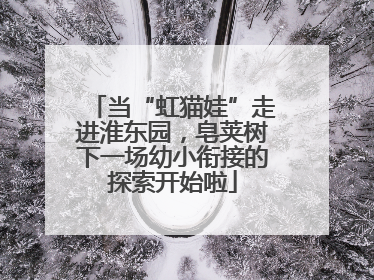 当“虹猫娃”走进淮东园，皂荚树下一场幼小衔接的探索开始啦