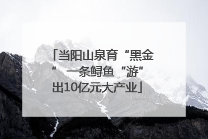 当阳山泉育“黑金” 一条鲟鱼“游”出10亿元大产业