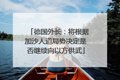 德国外长：将根据加沙人道局势决定是否继续向以方供武