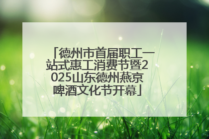 德州市首届职工一站式惠工消费节暨2025山东德州燕京啤酒文化节开幕