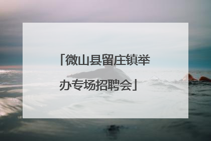 微山县留庄镇举办专场招聘会