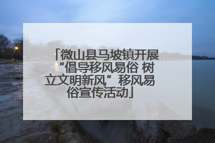 微山县马坡镇开展“倡导移风易俗 树立文明新风”移风易俗宣传活动