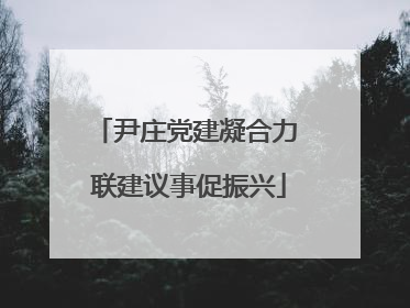 尹庄党建凝合力 联建议事促振兴