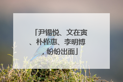 尹锡悦、文在寅、朴槿惠、李明博，纷纷出面