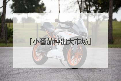小番茄种出大市场