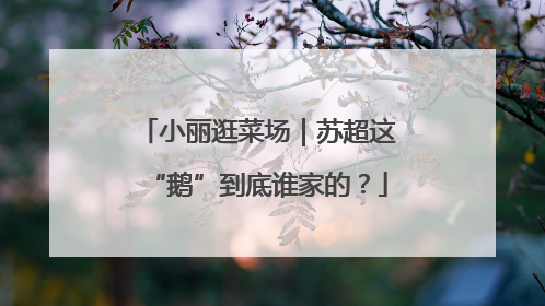 小丽逛菜场｜苏超这“鹅”到底谁家的？