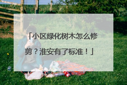 小区绿化树木怎么修剪？淮安有了标准！
