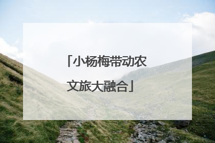小杨梅带动农文旅大融合