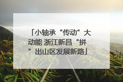小轴承“传动”大动能 浙江新昌“拼”出山区发展新路