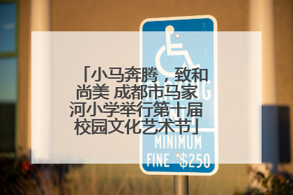小马奔腾，致和尚美 成都市马家河小学举行第十届校园文化艺术节