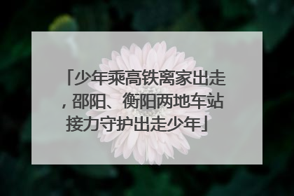 少年乘高铁离家出走，邵阳、衡阳两地车站接力守护出走少年