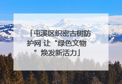 屯溪区织密古树防护网 让“绿色文物”焕发新活力