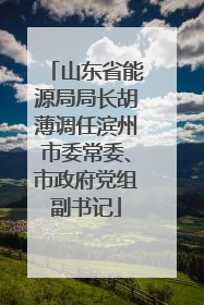 山东省能源局局长胡薄调任滨州市委常委、市政府党组副书记