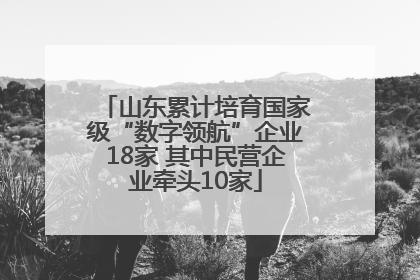 山东累计培育国家级“数字领航”企业18家 其中民营企业牵头10家