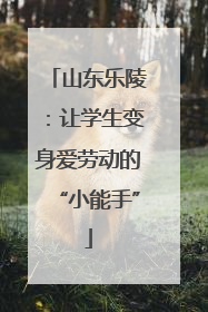 山东乐陵：让学生变身爱劳动的“小能手”