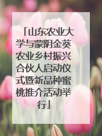 山东农业大学与蒙阴金葵农业乡村振兴合伙人启动仪式暨新品种蜜桃推介活动举行
