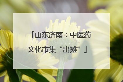 山东济南：中医药文化市集“出摊”