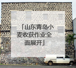 山东青岛小麦收获作业全面展开